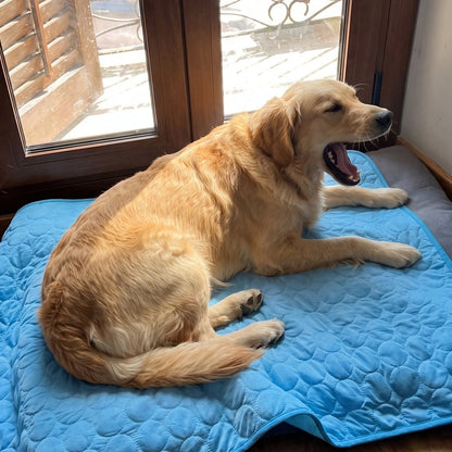 Vessly Cooling Mat for Pets