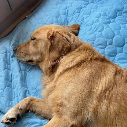 Vessly Cooling Mat for Pets